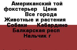 Американский той фокстерьер › Цена ­ 25 000 - Все города Животные и растения » Собаки   . Кабардино-Балкарская респ.,Нальчик г.